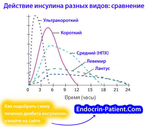 Виды инсулина и их действие Виды инсулина и их действие