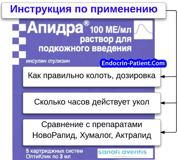 Апидра: инструкция по применению Апидра: инструкция по применению
